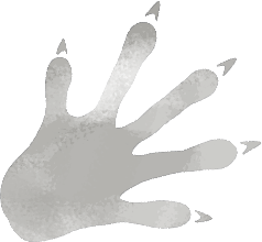 Brookside Wanderlust